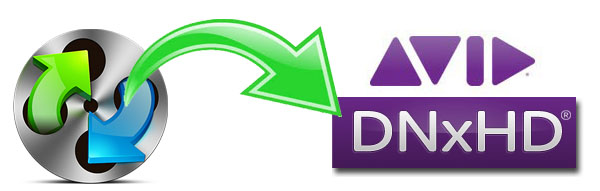 avid dnxhd codec after effects download