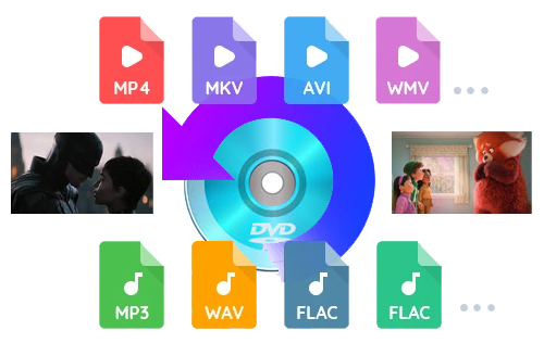 convert DVD to Any Popular Video and Audio Format