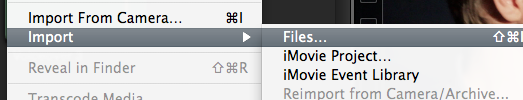 Import the result files to Final Cut Pro X