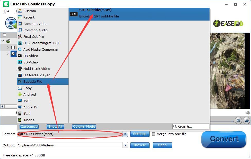 How To Extract Subtitle File From Dvd