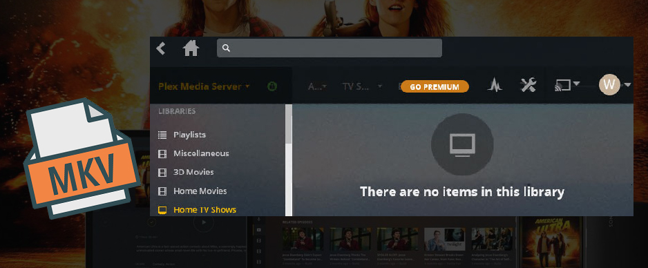 Fix Plex Not Playing MKV File