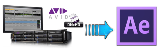 avid dnxhd codec after effects download