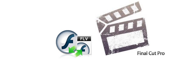 flv video cutter online