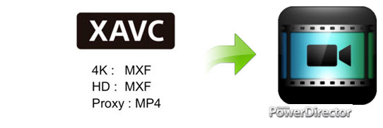 xavc s format support