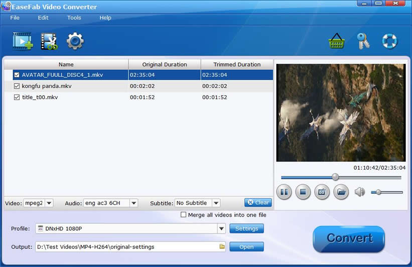 Import MKV Video File(s)