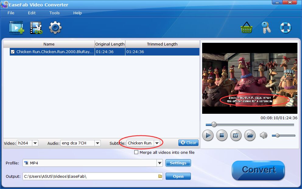 add subtitles avs video converter