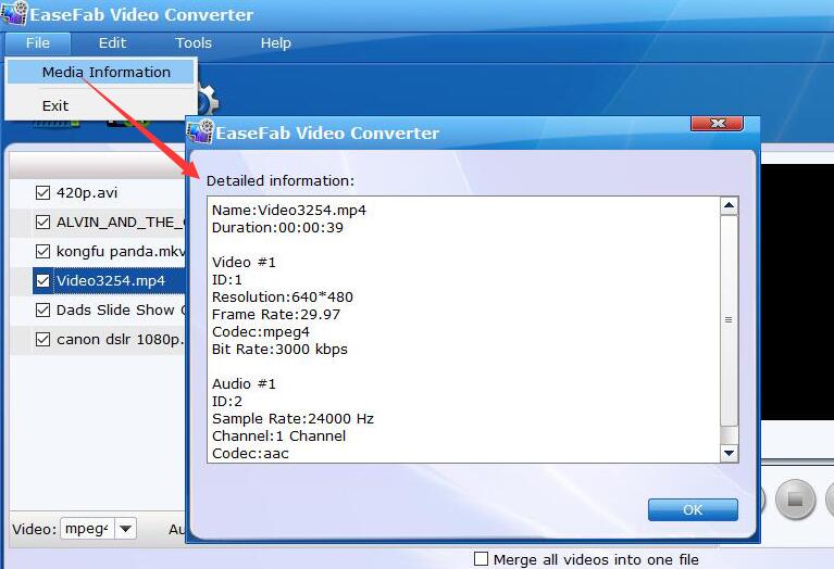 easefab video converter review